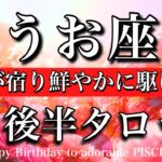うお座♓️2月後半全体運タロット🌕お誕生日おめでとうございます🎉㊗️！余裕がすごい…強さが宿り鮮やかに駆け出す！Pisces tarot reading