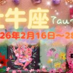 牡牛座★2026/2/16～28★お仕事？それとも婚活？試験？試合？参加賞なしのシビアな勝負の予感。あなたが頑張っていることで勝利を掴むためのメッセージ✨