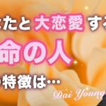 あなたと大恋愛🌹運命の相手は‥〇〇さんです。特徴、イニシャル、時期【男心タロット、細密リーディング、個人鑑定級に当たる占い】