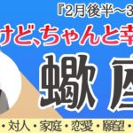 蠍座さん！凄い展開!! 出ちゃいました☺️❤️ 楽しむべし🫶✨[仕事/対人/家庭/恋愛/願望/全体運] 細密リーディング/2026年2月後半〜/タロット占い