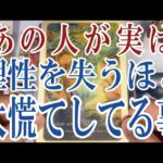 【3択恋愛タロット占い】あの人が理性を失うほど実は大慌てしてる事は？タロット・オラクルカード🩵個人鑑定級片思い・復縁・複雑恋愛・音信不通・疎遠・曖昧な関係をリーディング！