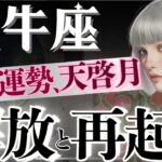【牡牛座】感動‥3月6日〜停滞解放‼️宇宙レベルの「気付きと大復活」強力サイン/6.20.31日が鍵🔑【星読みタロット】
