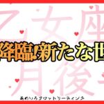 【乙女座♍️２月後半】太陽Ｗ降臨‼️忙しい方も停滞期にあった方も続く未来は晴天の世界☀️