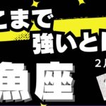 【魚座♓️2月後半】これはまじで来てる！✨見ないと損するレベルで来てる🔮（タロットカードリーディング）
