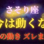 【蠍座♏】2026年、今ここで動くと逆に運を落とします｜立ち位置が入れ替わる年【年間保存版】