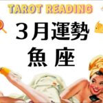 魚座よかったね～でっかい太陽が昇るわ。間違ってないわ。自信持って。2026年3月全体運勢💘仕事恋愛不安解消評価や印象💘個人鑑定級タロットヒーリング Tarot & Oracle
