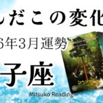 双子座3月は覚悟して！今すぐ準備してください。もの凄い分岐点で特別な時間です！2026年3月運勢【癒しのタロット個人鑑定級】