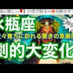 水瓶座🌸現状打破・突破‼️過去のリセット㊗️最高好転のタイミング✨【個人鑑定級】先読み深掘りtarot &Oracleリーディング#アファメーション#潜在意識#みずがめ座