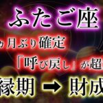 ふたご座《52か月ぶりに確定》でも《呼び戻し》に厳重注意【双子座の財成期】