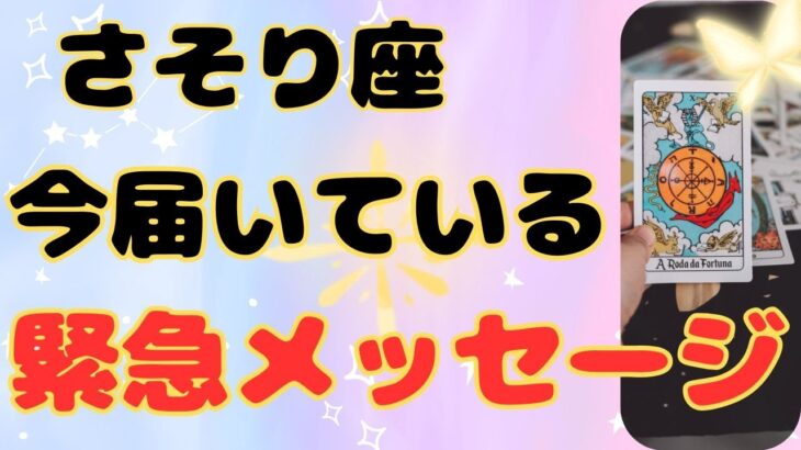 【蠍座】鳥肌ものの重要なメッセージなので見て下さい＆お金の問題解消❗️❣️ ＃タロット、＃オラクルカード、＃当たる、＃占い