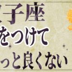 【⚠️怖いほど当たる…】⚠️ 双子座は2月後半にとんでもないことが起こります。運命が切り替わる重要サイン【運勢タロット占い】
