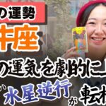 牡牛座さん、他者の力を借りていい時なのです。【牡牛座3月の運勢】