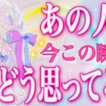 タロット占い恋愛【正直すぎる結果】お相手は今この瞬間どう思ってる？🔮説教タイムあり⚡️さらに…◯のカードが🤭💕