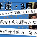 【射手座】3月🎎 願いを出して！望みが叶う流れへと入る！制限や縛りから解放していく！