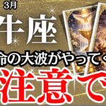 【 おうし座】３月の運勢｜【ここから大逆転！飛躍直前の激変期】想像を超えるシンクロが始まる【牡牛座の運勢】