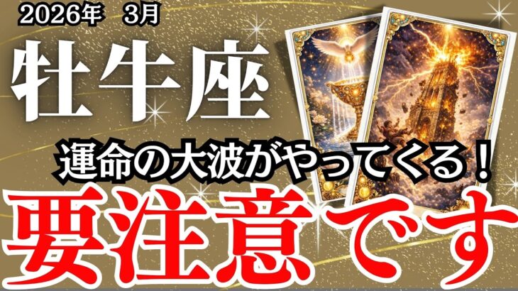 【 おうし座】３月の運勢｜【ここから大逆転！飛躍直前の激変期】想像を超えるシンクロが始まる【牡牛座の運勢】
