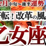 乙女座 ２月中旬~後半【抜ける！風向き変わる！目の上のタンコブ消滅】コンフォートゾーンを超えて行く　おとめ座　2026年２月運勢　タロットリーディング　Virgo  January