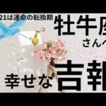 2月運命が動く🌟神展開のギフト🌈🎁牡牛座さん受け取り準備OK⁉️タロット占い&オラクルカードリーディング