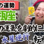 水瓶座さん、もう自由になったもん勝ちです。それが答え！【水瓶座3月の運勢】