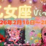 乙女座★2026/2/16～28★恋愛がとても良い！孤独を愛する方にとっては、まさにベストパートナー💖深い心の傷を癒してくれて、切磋琢磨できるお相手や仲間との関係を育む時