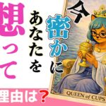 【実は惹かれてる🥹】今密かにあなたを想っている人🌙隠している本音と理由💖恋愛。タロット占い、オラクル、ルノルマン
