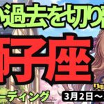 【獅子座】♌️2026年3月2日の週♌️辛い過去はポイ！あなたはこれから幸せになるしかないんです