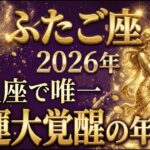 【ふたご座】2026年に人生最大の金運が大覚醒します。