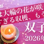 【ふたご座】2026年３月♊️すごい楽になるかも！段違いの余裕、ただの収穫じゃない特別な実り、掛かった時間の答え合わせ