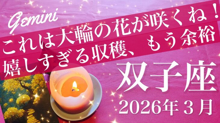 【ふたご座】2026年３月♊️すごい楽になるかも！段違いの余裕、ただの収穫じゃない特別な実り、掛かった時間の答え合わせ