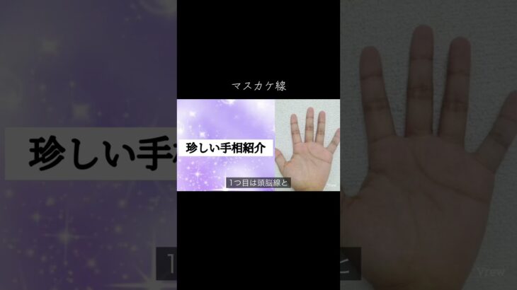 天下筋の手相と言われています #手相 #占い #手相占い #手相鑑定 #徳川家康