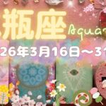 水瓶座★2026/3/16～31★人生における不満を解消していくような強いエネルギーをもった新しいことが始まる！まるで導かれているような手放しと始まりの時