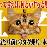 【牡牛座・春分】あなたの優しさに「タダ乗り」する人間は即刻損切りです。ストレスによる無駄な「プチ贅沢」を強制終了させる決意の月。