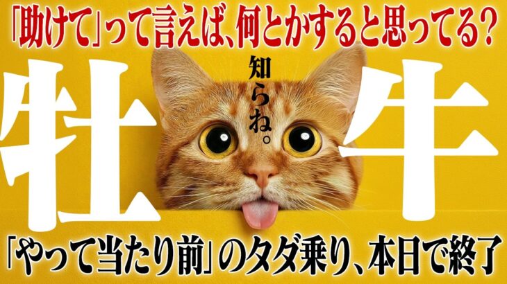 【牡牛座・春分】あなたの優しさに「タダ乗り」する人間は即刻損切りです。ストレスによる無駄な「プチ贅沢」を強制終了させる決意の月。