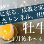 おうし座♉️2026年３月後半〜４月前半🌝決着！叶えられた思い、存分に味わう時間、あちこちに笑顔の花、暖かさと笑顔に包まれる