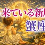 【かに座さん🔑】もう来ている新展開🪐見た時がタイミング【タロット・ルノルマン・オラクルカードリーディング】