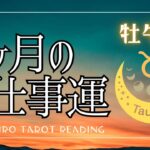 牡牛座⭐️３ヶ月のお仕事の流れ【見た時がタイミング！】