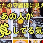 🌟守護霊リーディング🌟あの人が【自覚】している気持ち🪽2222🪽