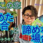 【恋愛タロット🪄】答えの出ない悩めるあなたへ💐２パターンリーディング🔮