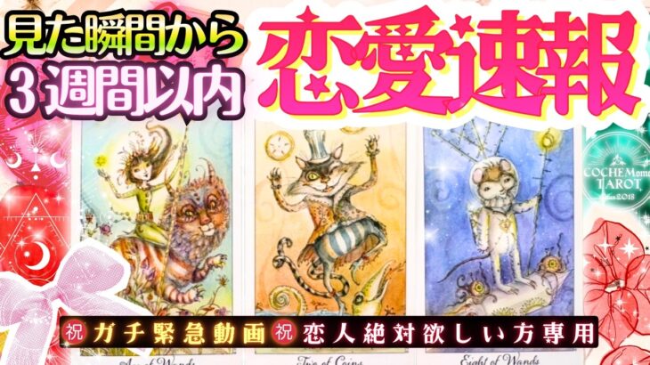 ガチ緊急❤️恋人できる宣言🩷‼️３週間以内の恋愛速報‼️【本格鑑定♡】辛口あり・LOVE結果・忖度一切無し