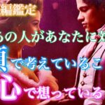 【🦋熱弁長編鑑定💞】今、あの人があなたに対して頭で考えていること心で想っていること(表層意識/深層心理)🦋🦄