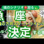 魚　座🌍強制救済・軌道修正凄い❣️長年の思いや努力に祝福受け取る❤️‍🔥✨【個人鑑定級】先読み深掘りtarot &Oracleリーディング#アファメーション#潜在意識#うお座