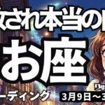 【魚座】♓️2026年3月9日の週♓️本気の手放しで運気が激変！解放されて自由になる時が来た