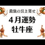 ４月牡牛座、過去最強のものを引き寄せる！！全部この時の為だった。過去と今が繋がる。2026年4月全体運勢💘仕事恋愛不安解消評価や印象💘個人鑑定級タロットヒーリング
