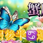 【蟹座】3月後半の運勢❤️祝報！！ちょっとこれは最高すぎる😳楽園💐蟹座🌕上弦の月の恩恵🙌🙌大転換期…！！ハッピーツインソウルマンスリー　2026年　タロット占い