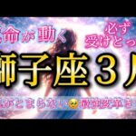 獅子座3月♌️運命が動く🥹ここから最強変革がきます✨鳥肌がとまらない！必ず受けとって🎁