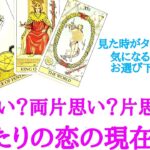 🌹恋愛タロット占い🌹見た時がタイミング‼️【最新版】両思い？両片思い？片思い？ふたりの恋の現在地 お相手様の現状 あなたへの気持ちetc..