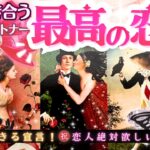 鳥肌ガチ神回❤️恋人欲しい方専用㊗️恋人できる宣言🩷‼️お相手の特徴【2026年♡本格鑑定♡】辛口あり・LOVE結果・忖度一切無し