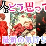 【怖いほど当たる❤️】あの人は恋愛的にどう思ってる？【辛口結果もLOVEもあり♦︎超深掘り鑑定】タロット