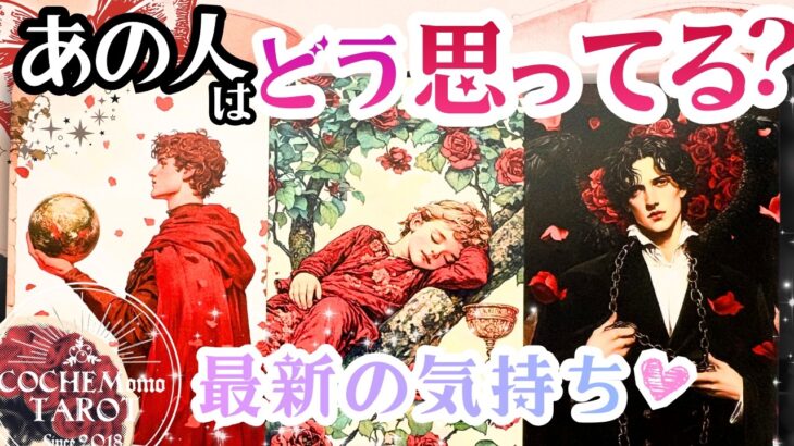【怖いほど当たる❤️】あの人は恋愛的にどう思ってる？【辛口結果もLOVEもあり♦︎超深掘り鑑定】タロット