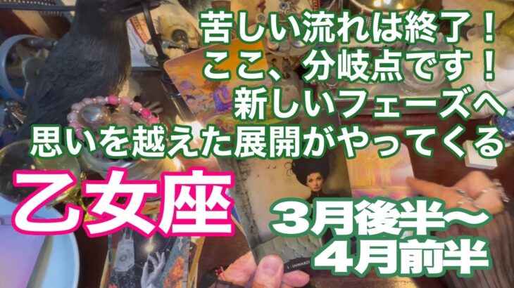 乙女座♍️苦しい流れは終了！　ここ、分岐点です！　新しいフェーズへ　思いを越えた展開がやってくる